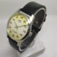 HMT Pilot Mechanical Hand Winding Men’s Steel Mod wrist watch